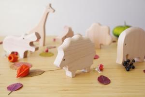 Wooden toys