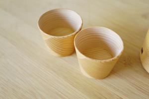 Sake jug set 