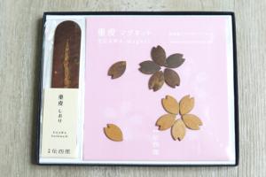 Gift box - Bookmark and bark decorations